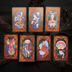 2nd Edition The Embroidered Graveyard Oracle Deck