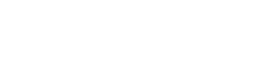 The Embroidered Forest