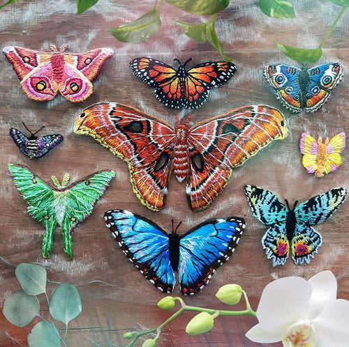 Butterfly Collection Embroidery Pattern - Downloadable PDF
