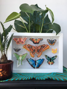 Butterfly Collection Embroidery Pattern - Downloadable PDF